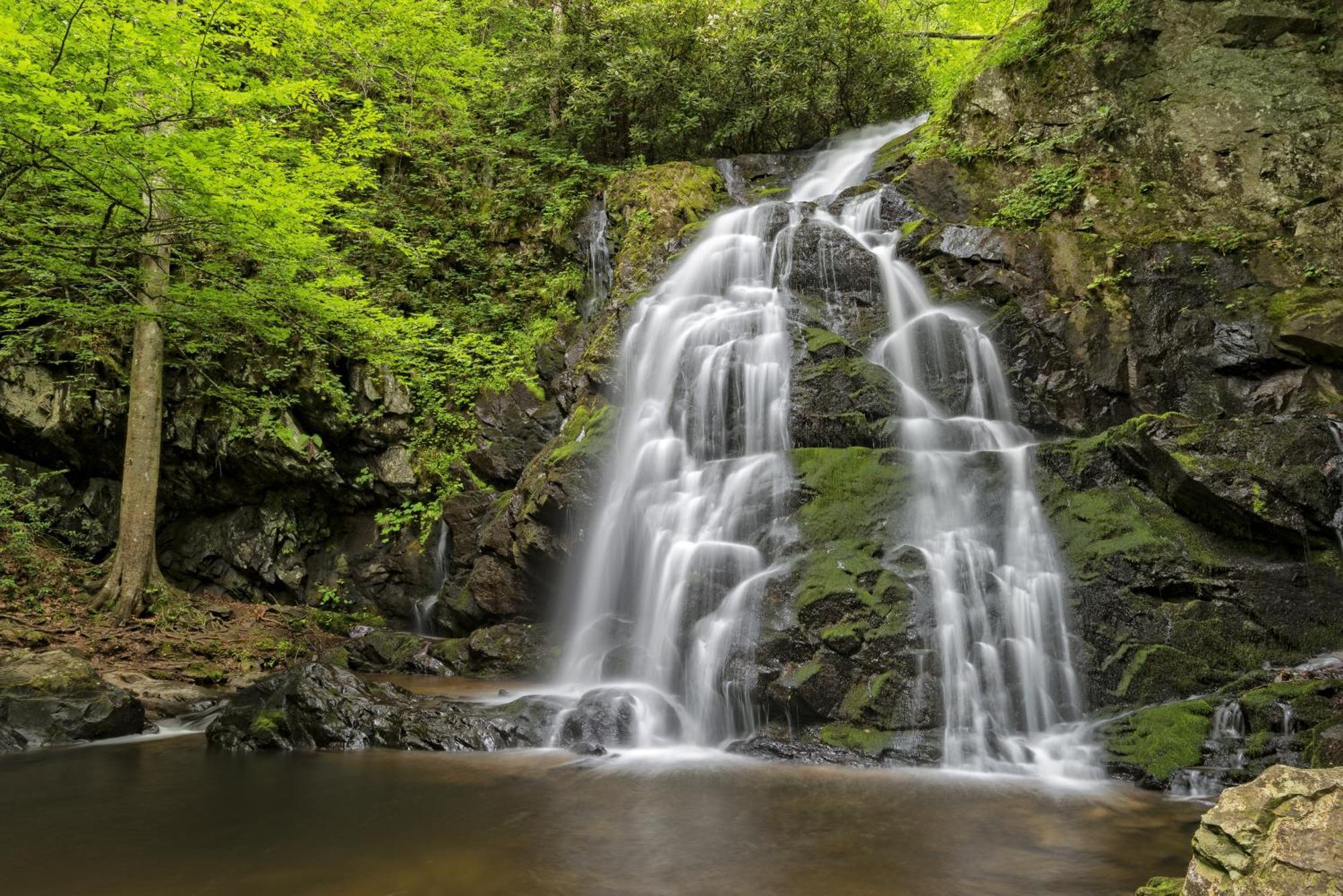Magical Moments, Hot Tub, Wifi, 1089 Free Tickets Each Paid Day, Dollywood And More 蓋特林堡 外观 照片