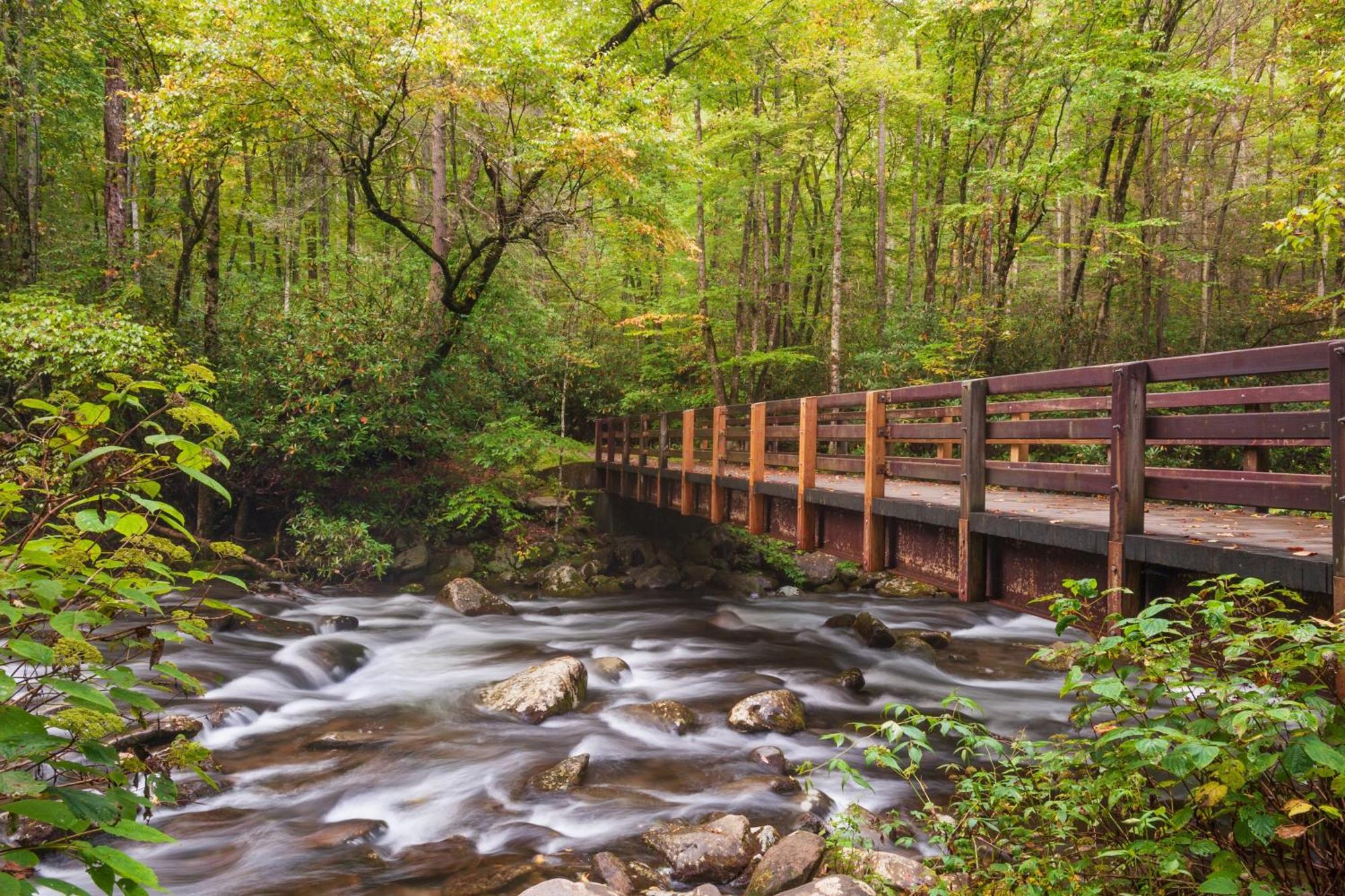 Magical Moments, Hot Tub, Wifi, 1089 Free Tickets Each Paid Day, Dollywood And More 蓋特林堡 外观 照片